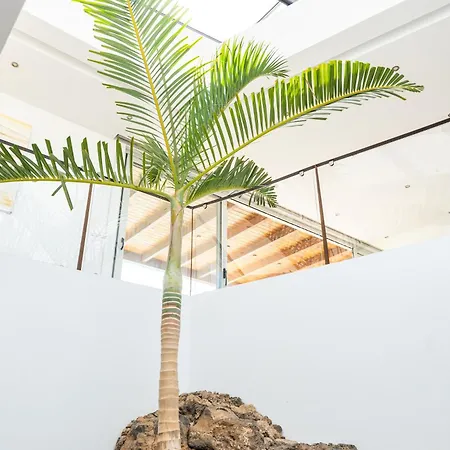 Casa Mascarena, Luxury With Heated Pool 别墅 拉哈雷斯